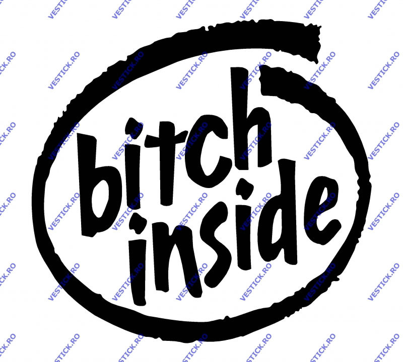Sticker Bitch inside
